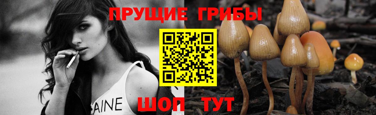 Сланцы  Галлюциногенные грибы ЛСД  Вход с VPN 